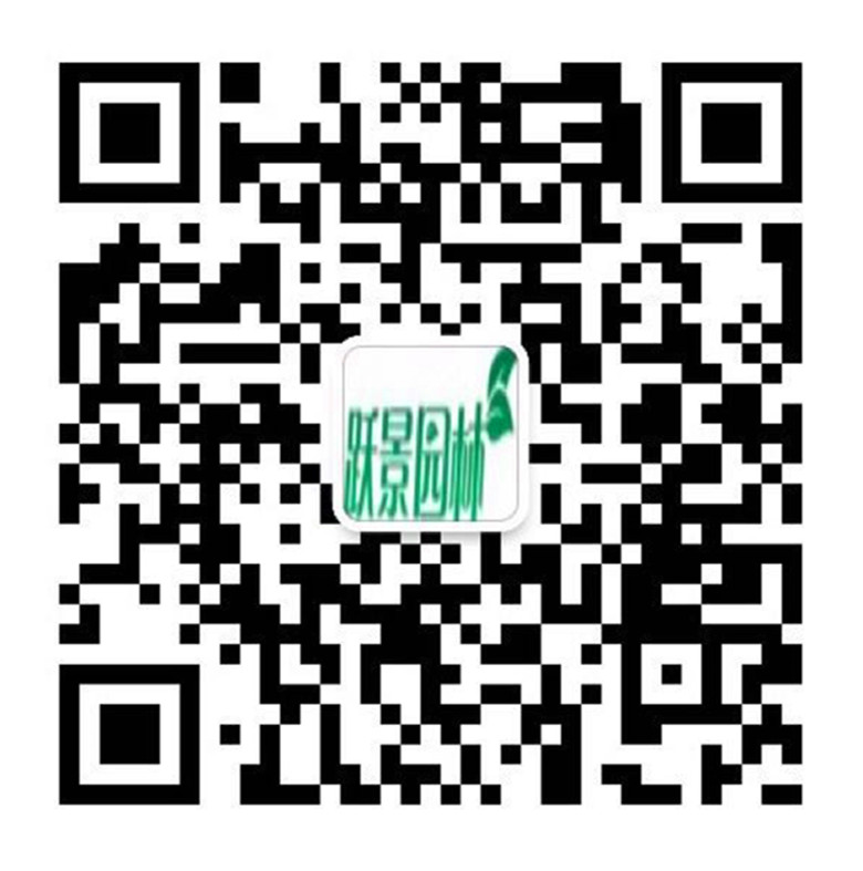 2015年度官方发布苗木大数据